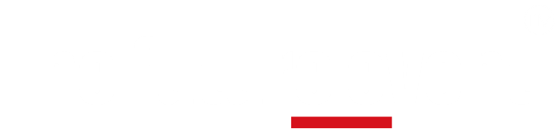 Organiser Logo